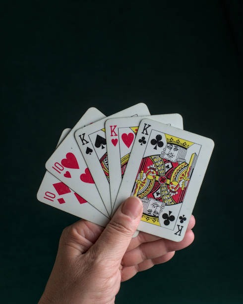 bosbet77 sportsbook and live casino interface